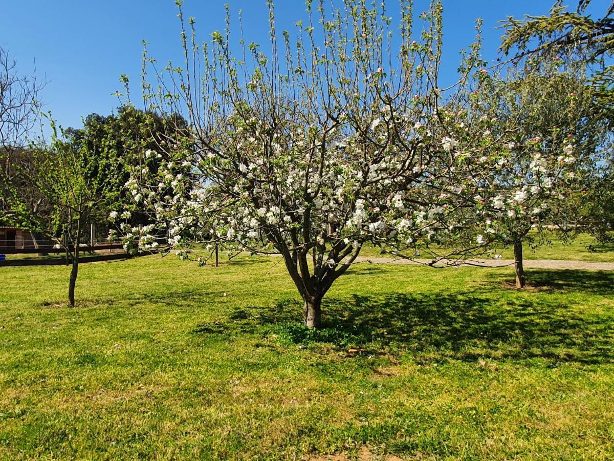 Mas Des Gardies Saint-Julien-de-Peyrolas Luaran gambar
